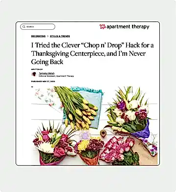 presentation image