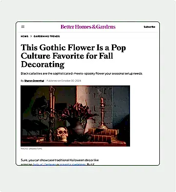 presentation image