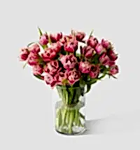 Double the Dutch Tulips