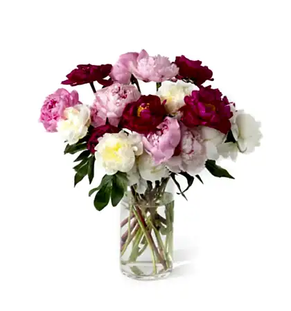 Double the Grower's Choice Peony