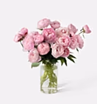 Double the Peony
