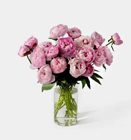Double the Peony