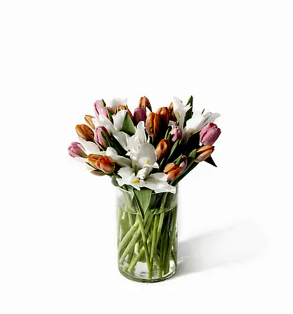 Double The Signs Of Spring