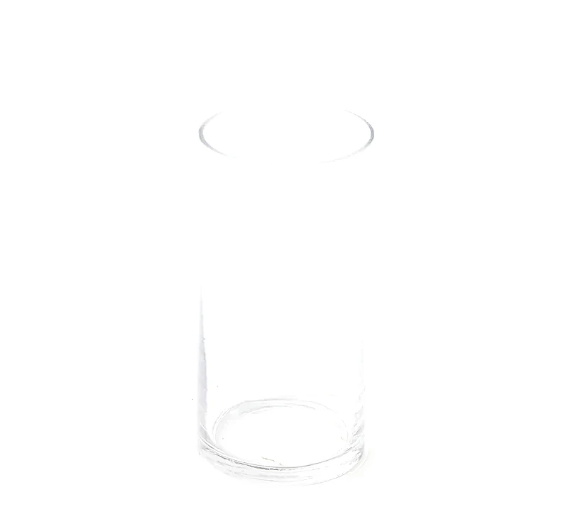 Glass Vase