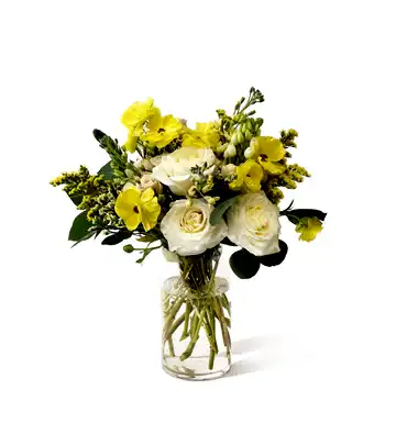 presentation image