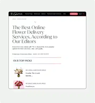 presentation image