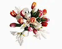 The Signs Of Spring
