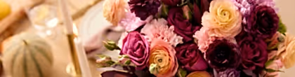 presentation image