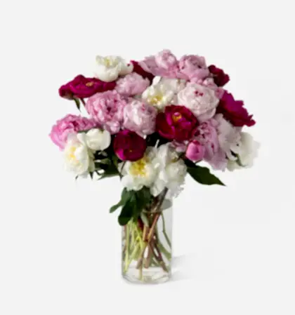 Triple the Grower's Choice Peony