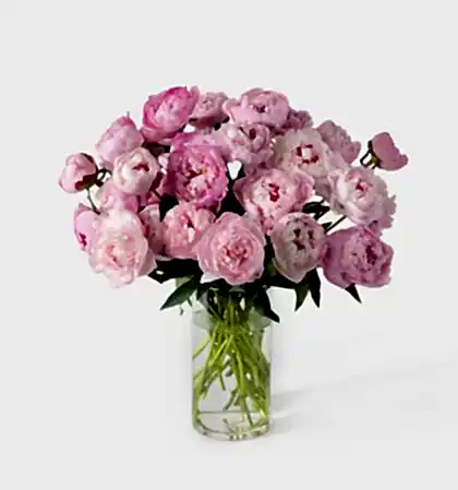 Triple the Peony