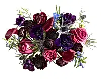 The Winter Blossom