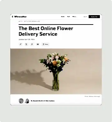 presentation image