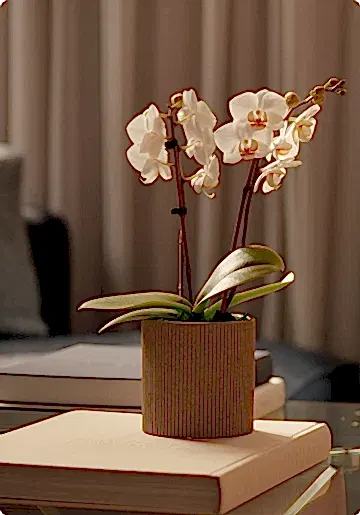 presentation image