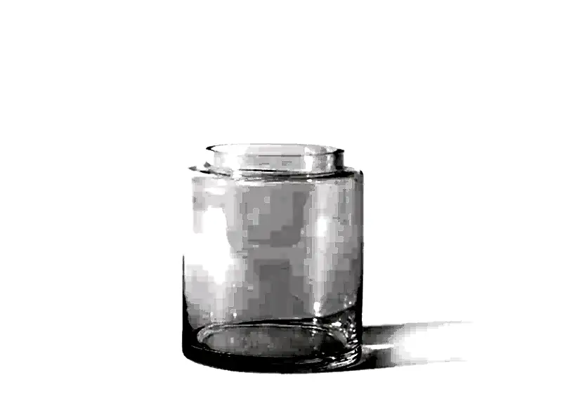 The Short Glass Vase