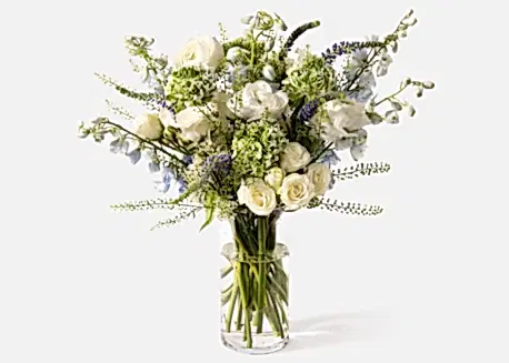 presentation image